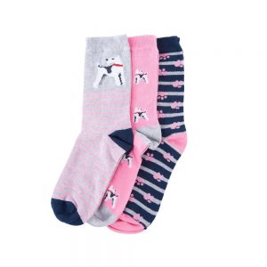 Barbour Terrier Paw Sock Gift Box pink, navy, grey mix